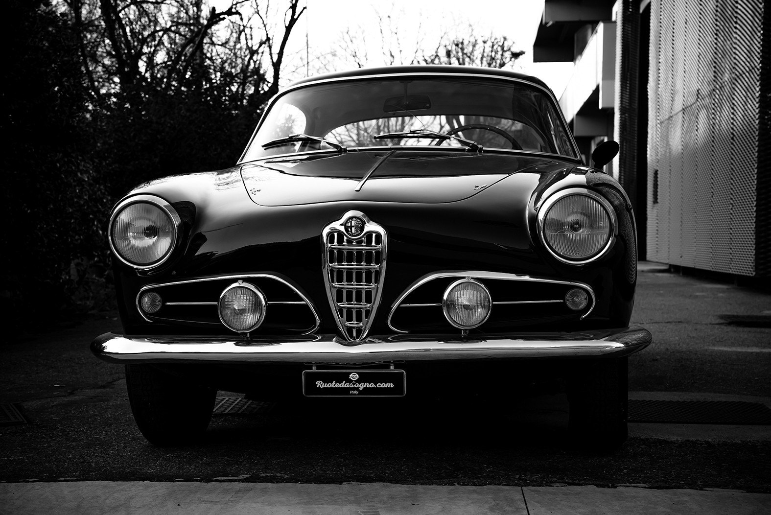1955 Alfa Romeo 1900 C Super Sprint 12