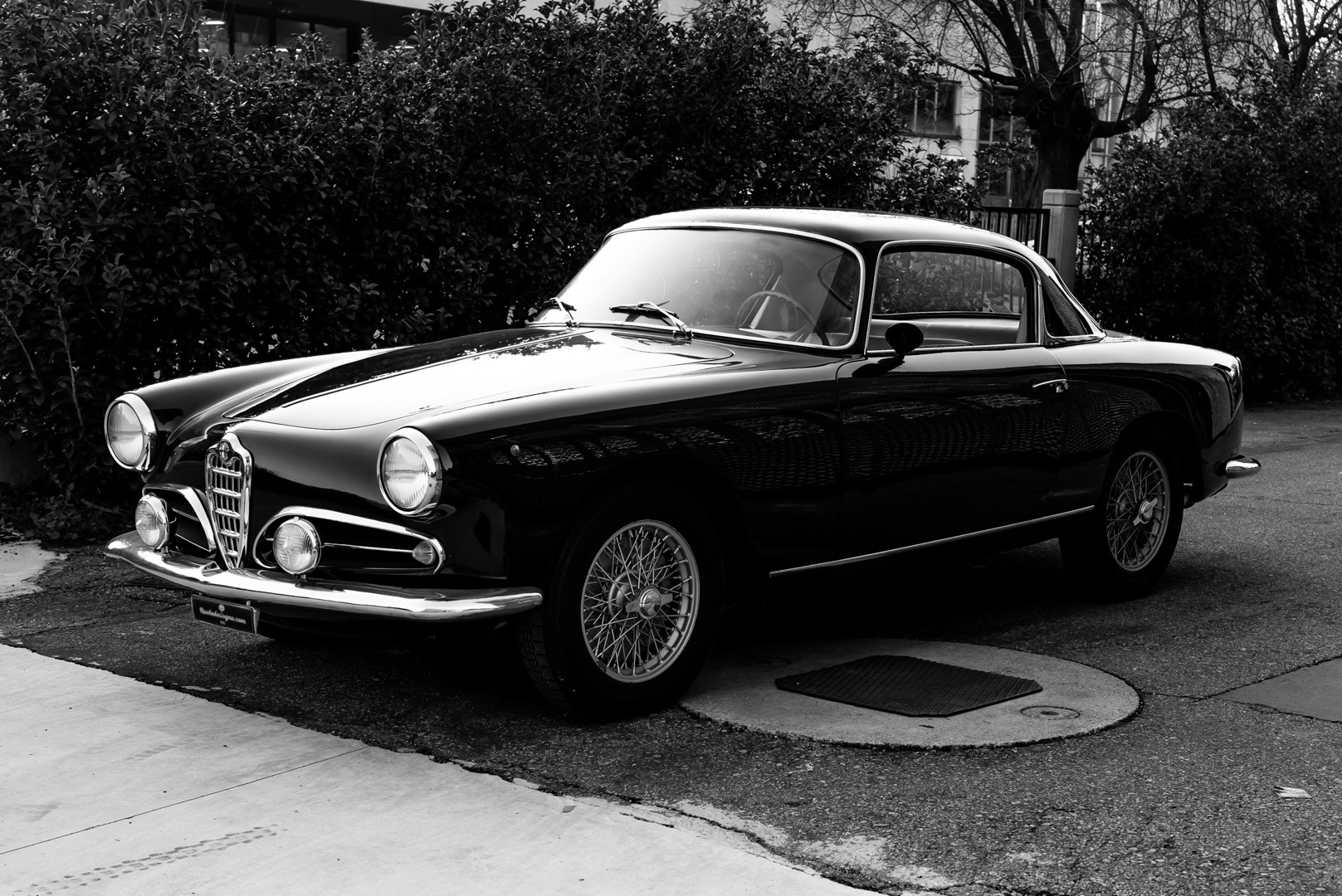 1955 Alfa Romeo 1900 C Super Sprint 36