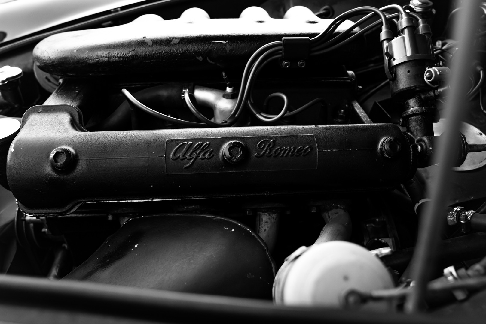 1955 Alfa Romeo 1900 C Super Sprint 41