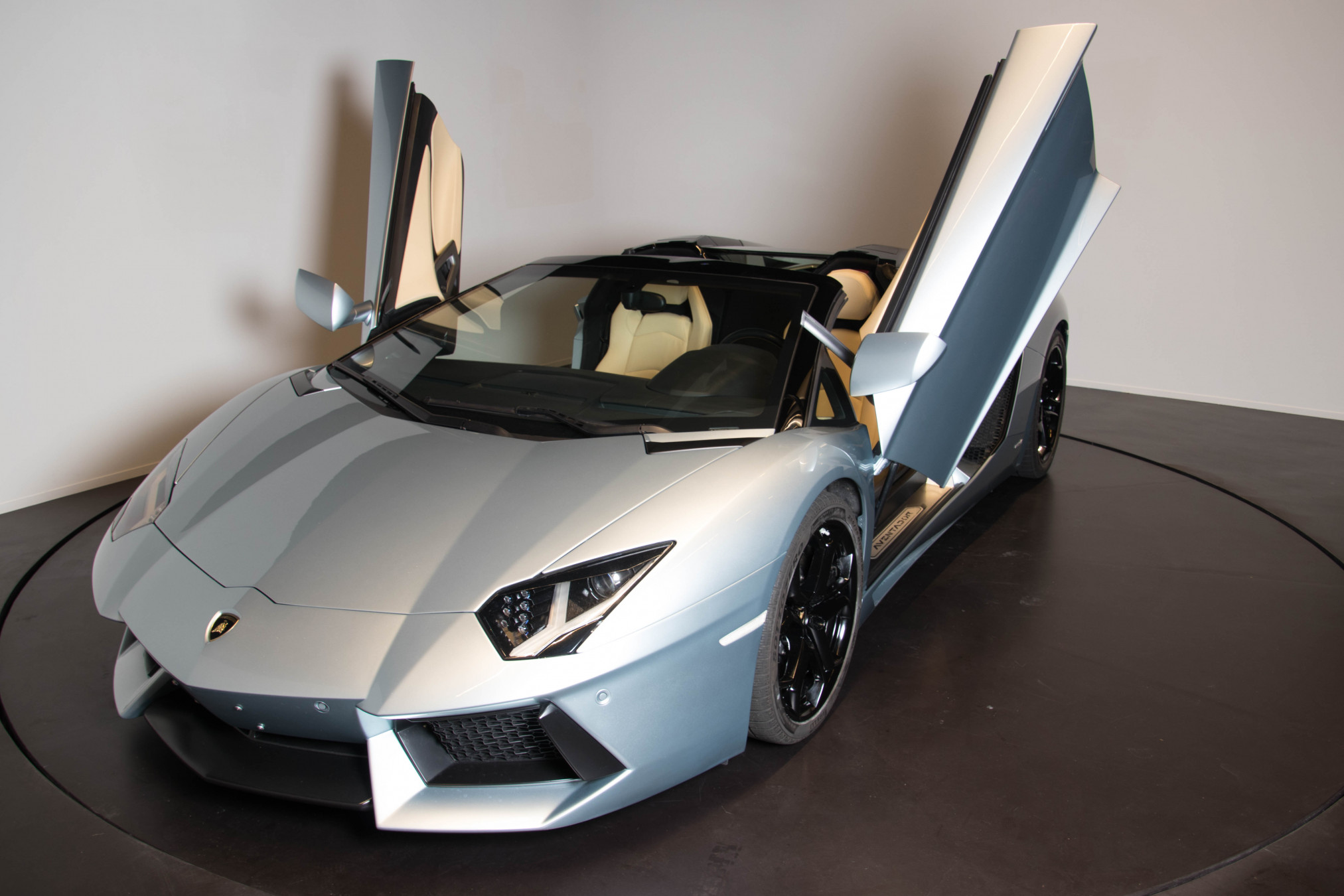 2014 Lamborghini Aventador Roadster 24