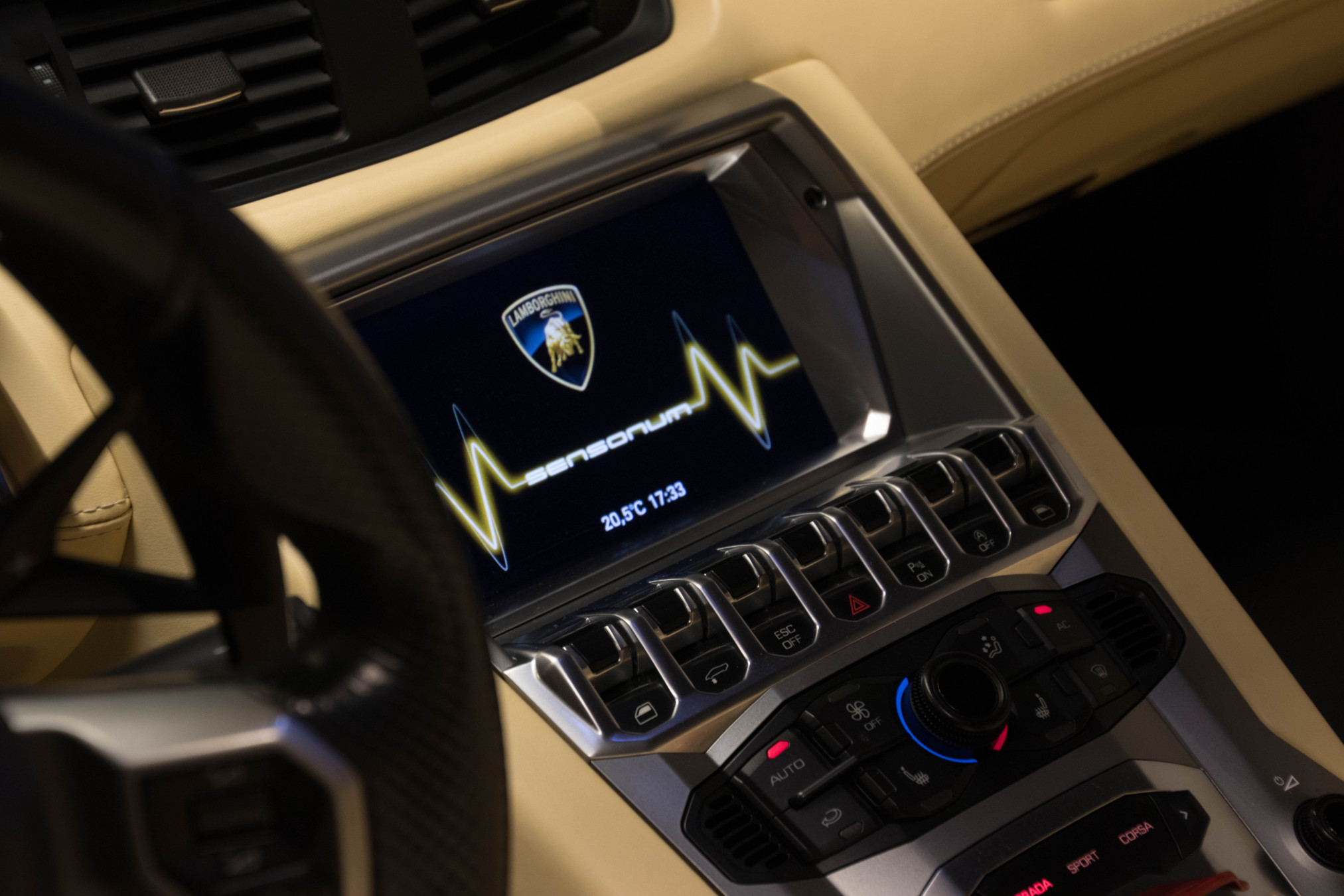 2014 Lamborghini Aventador Roadster 11