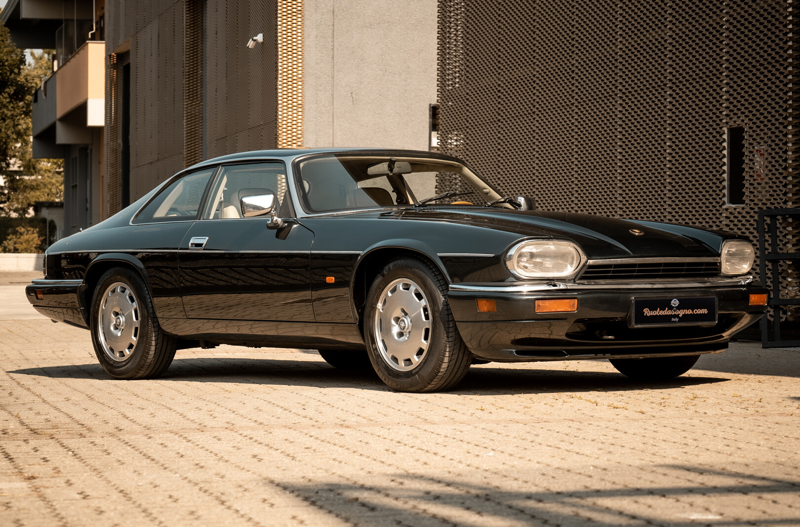 Le jaguar 1996