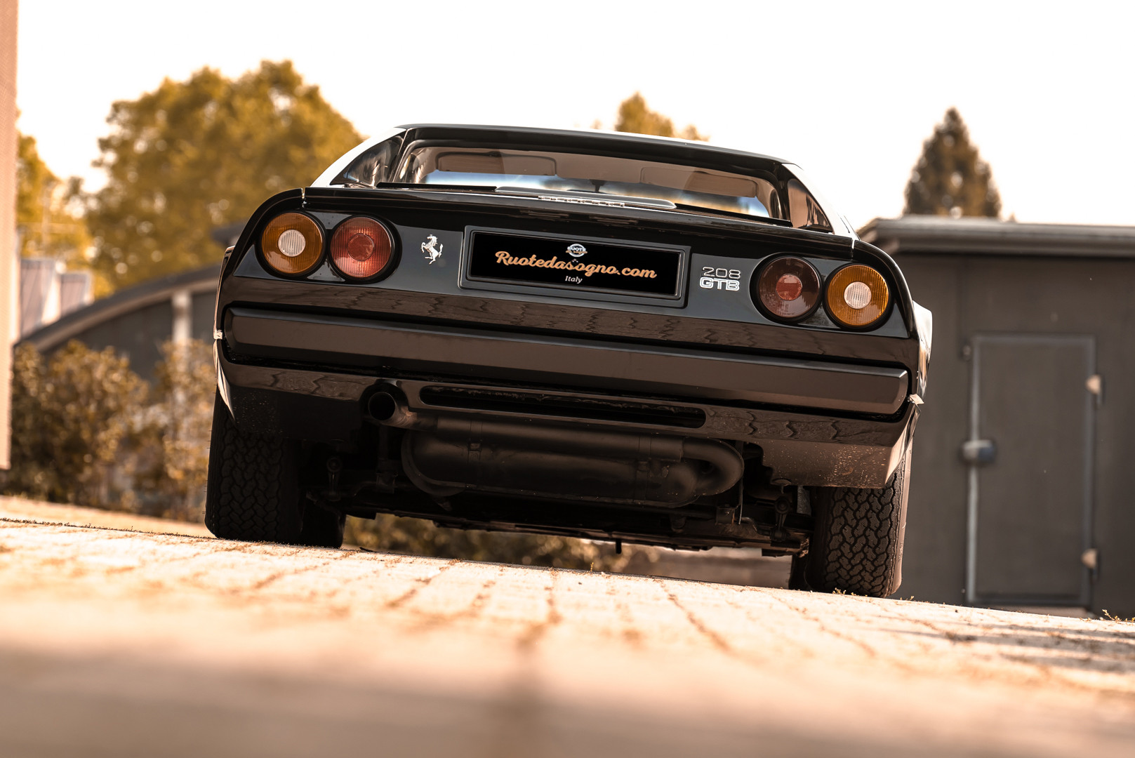 1980 Ferrari 208 GTB Carburatori 14