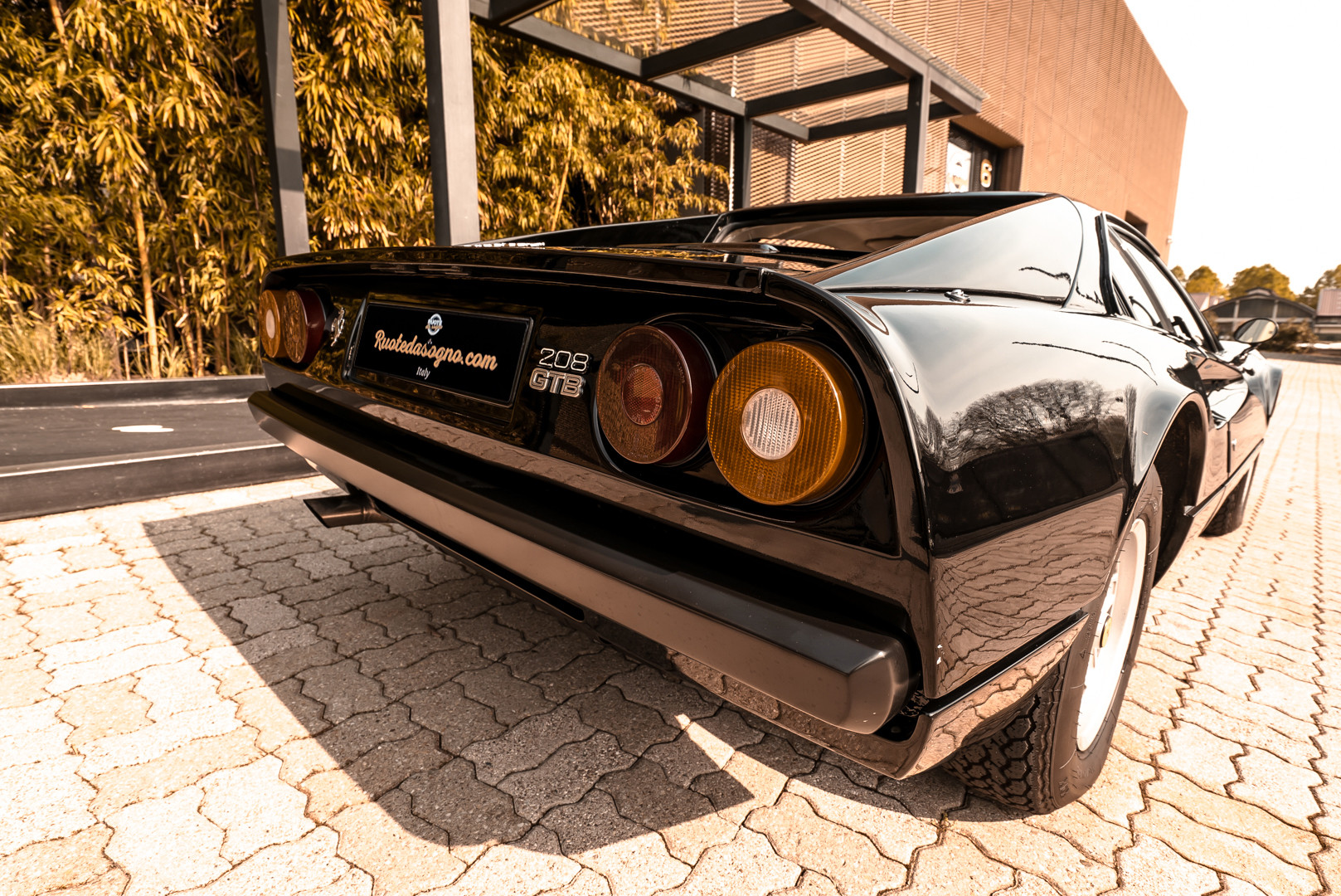 1980 Ferrari 208 GTB Carburatori 17