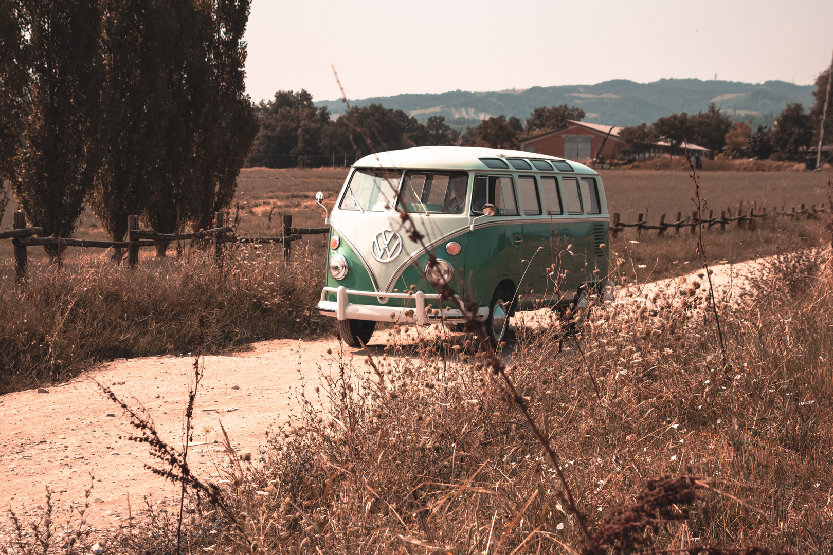 1964 Volkswagen T1 "21 Vetri" 12