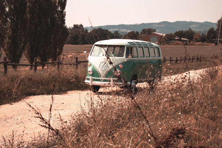 1964 Volkswagen T1 "21 Vetri" 12