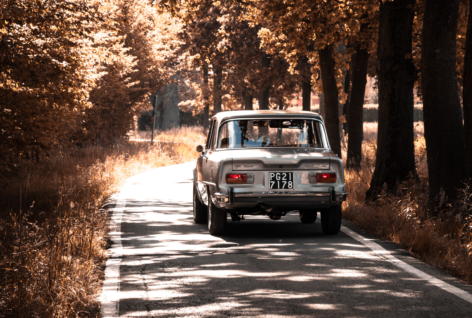 1973 Alfa Romeo Giulia Super 1.6 10