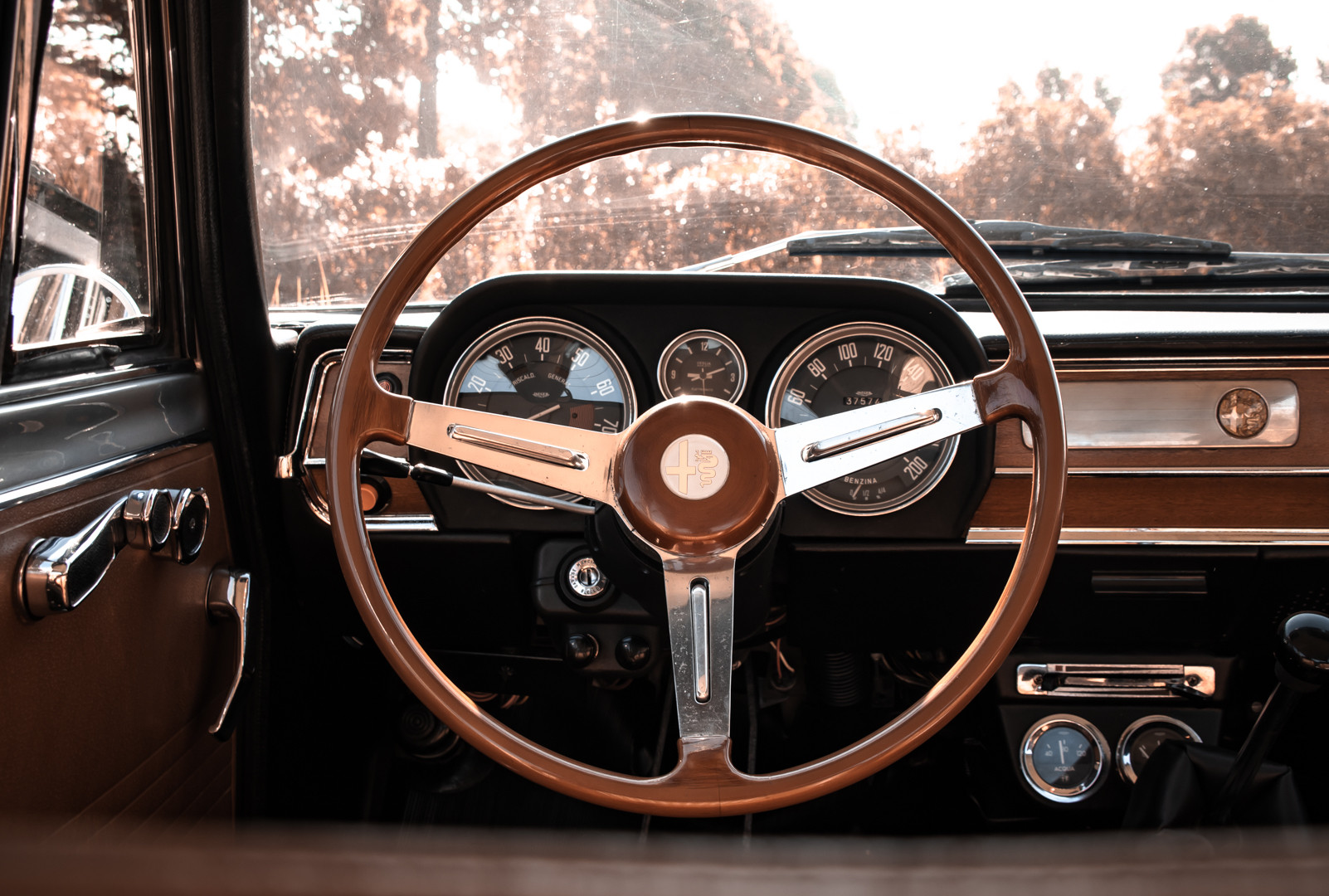 1973 Alfa Romeo Giulia Super 1.6 17