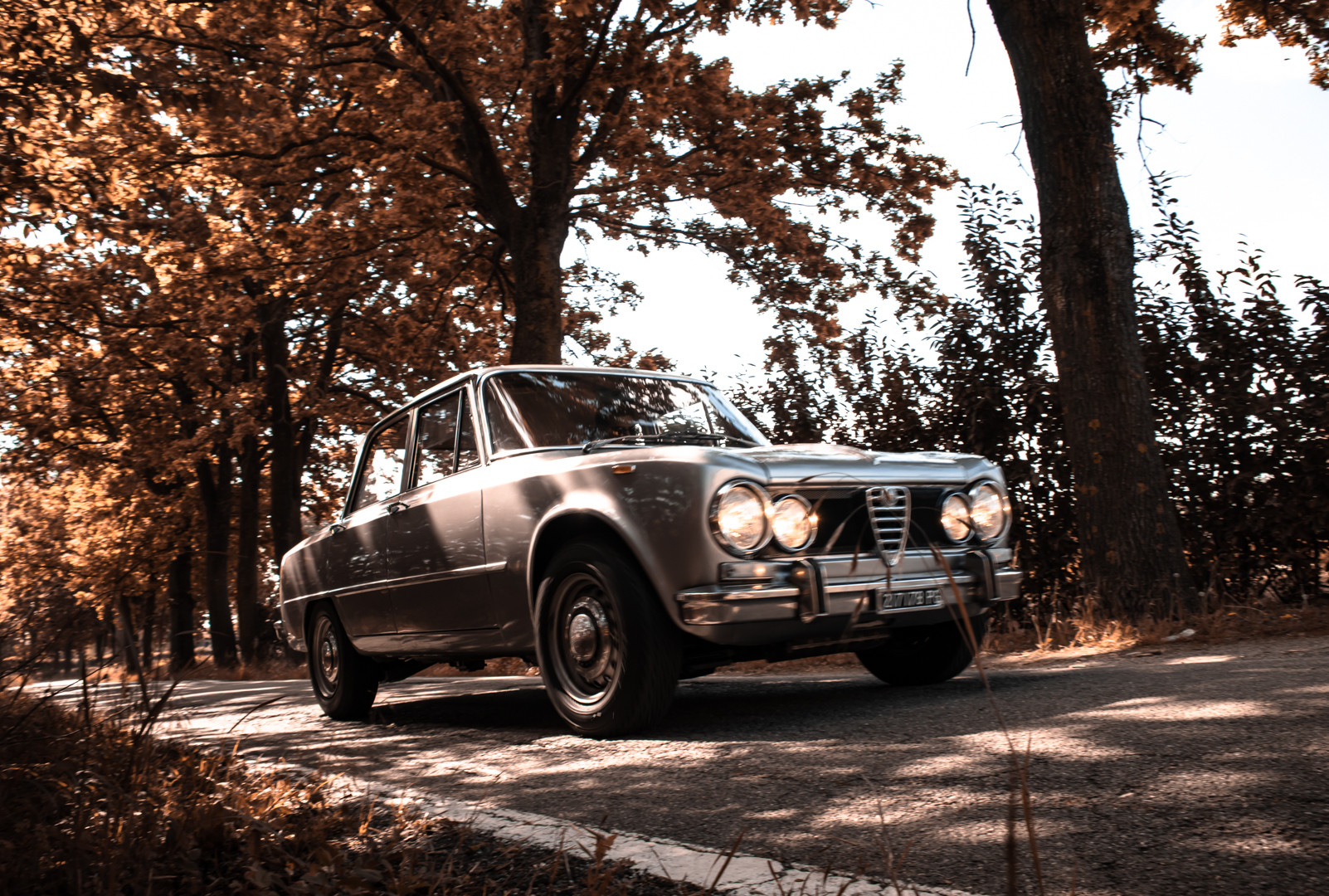 1973 Alfa Romeo Giulia Super 1.6 3