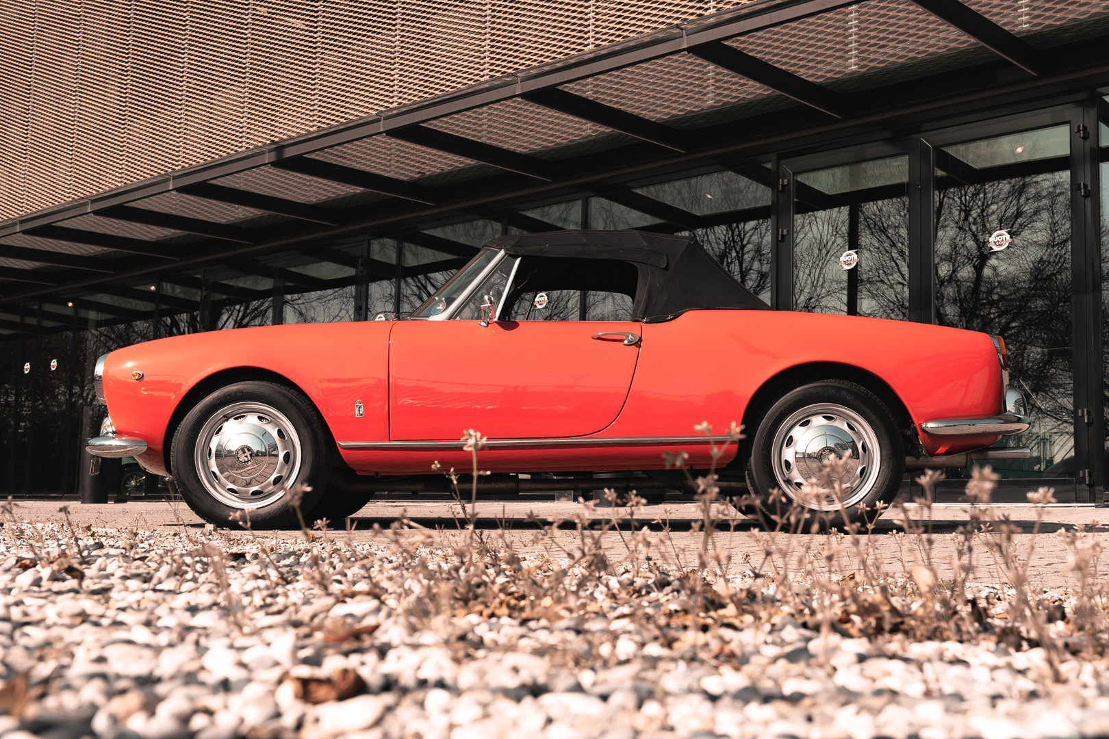 1963 Alfa Romeo Giulia Spider 4