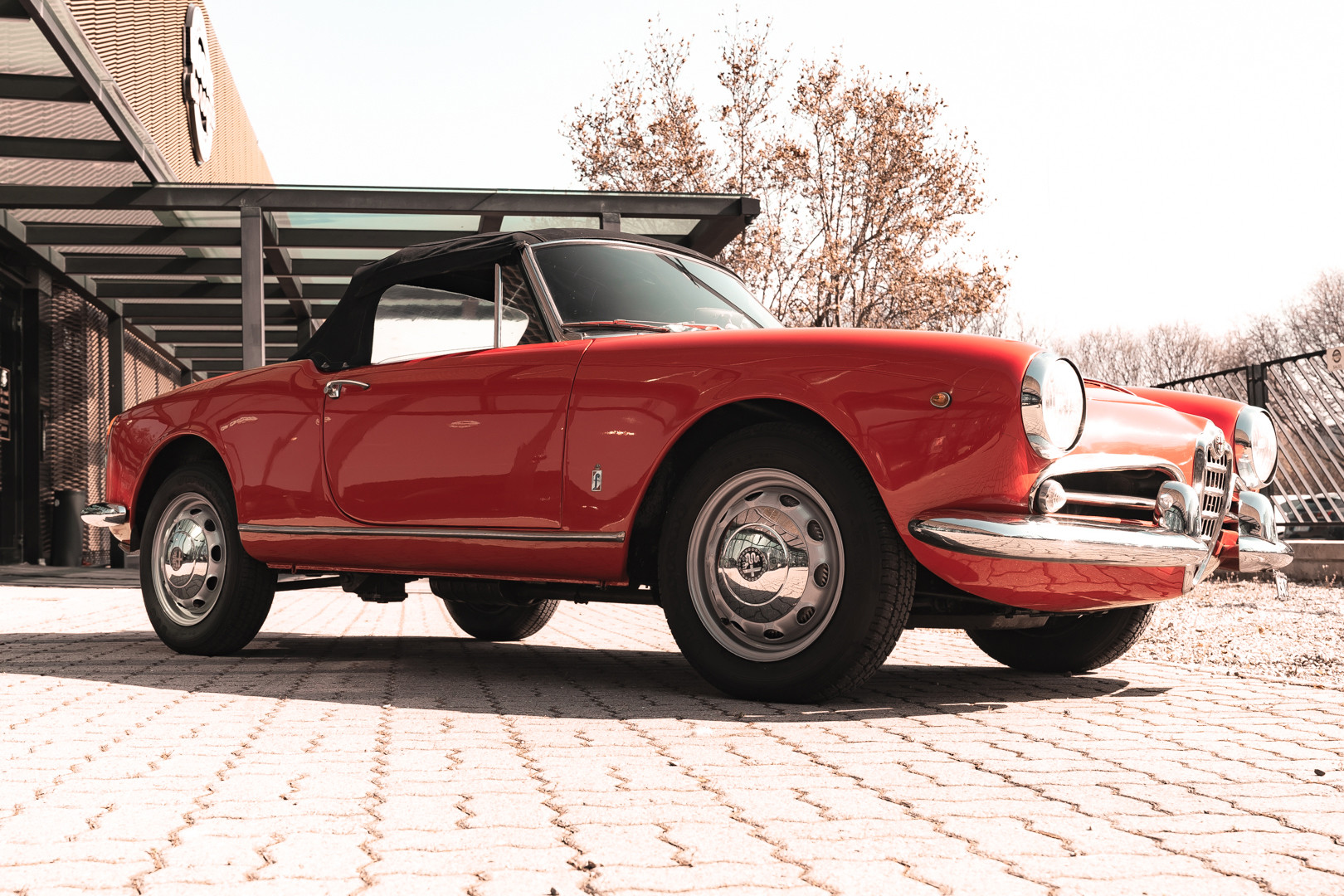 1963 Alfa Romeo Giulia Spider 5
