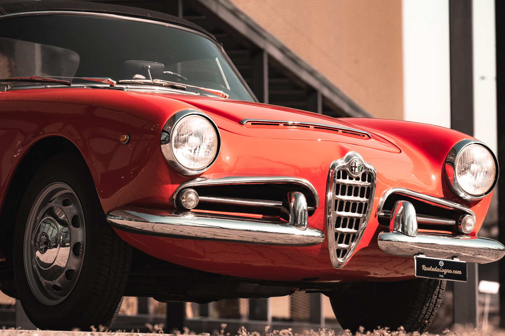 1963 Alfa Romeo Giulia Spider 10