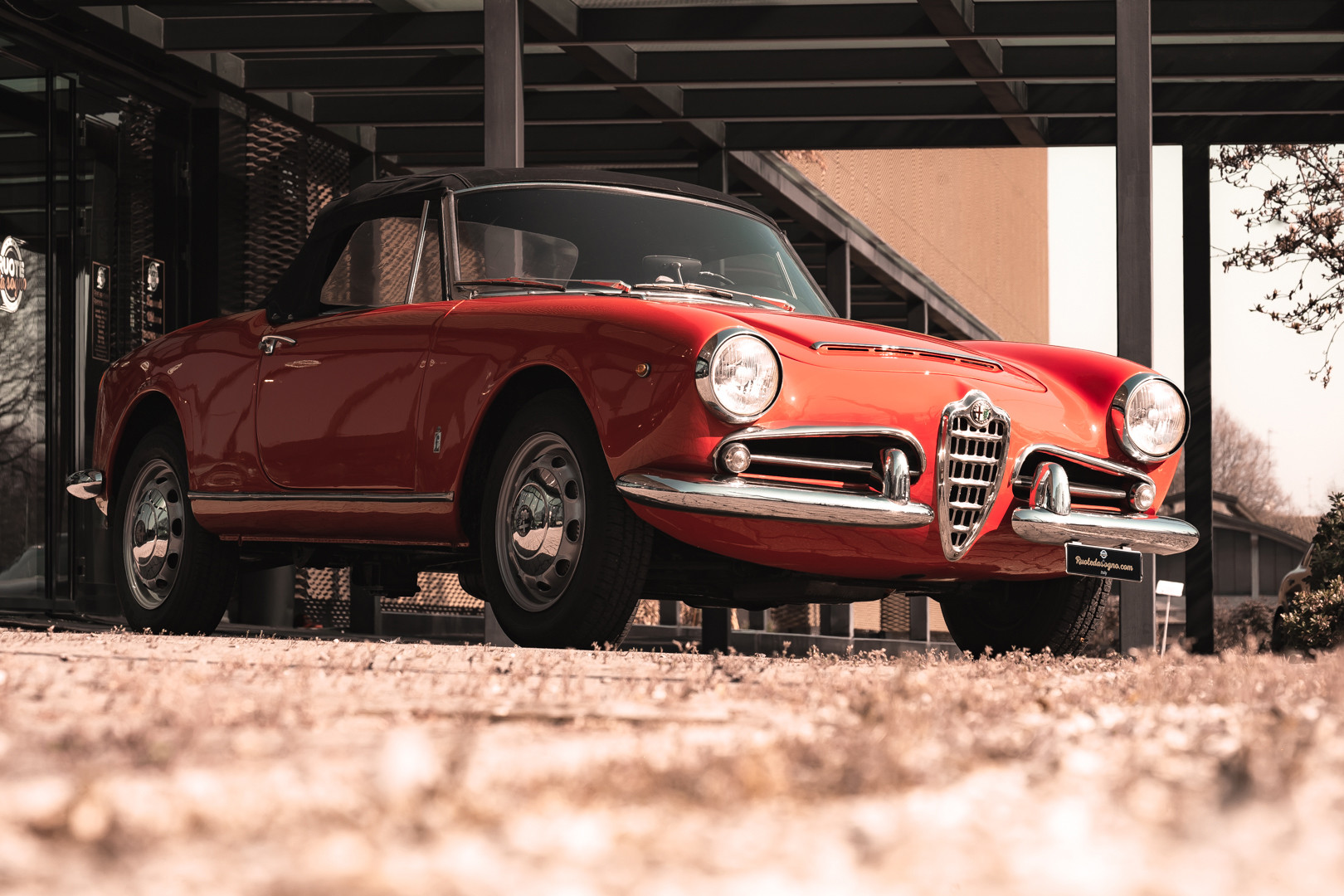 1963 Alfa Romeo Giulia Spider 0