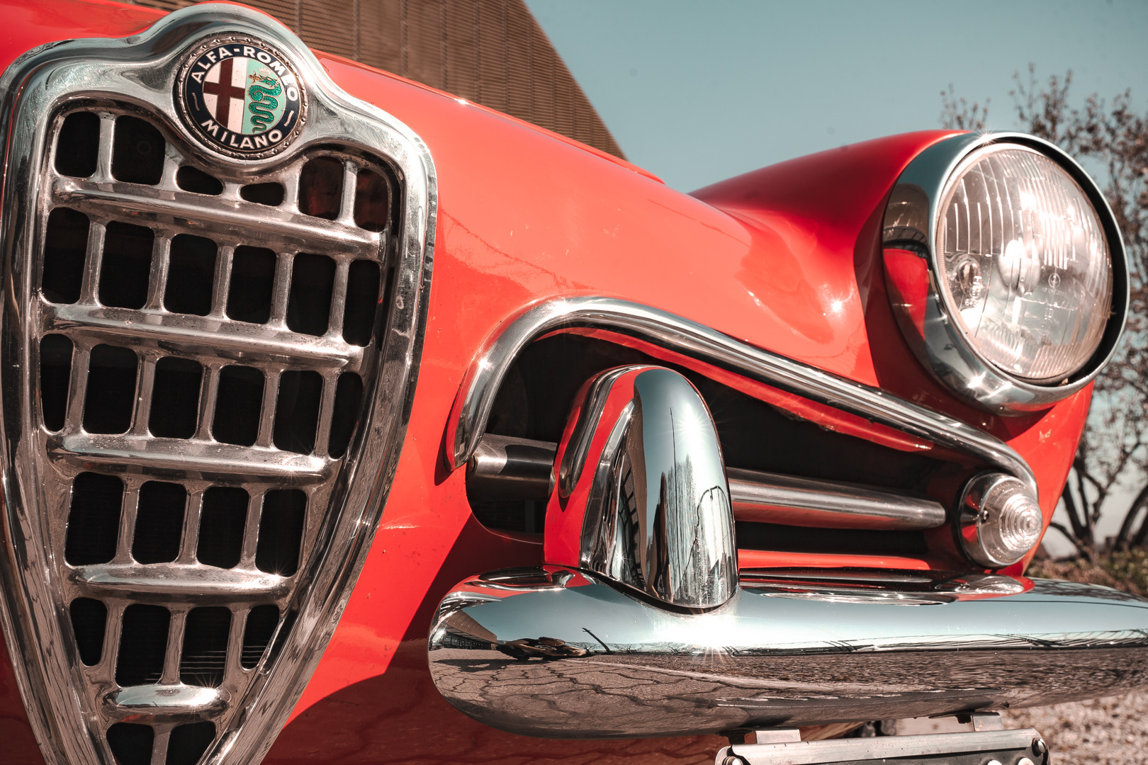 1963 Alfa Romeo Giulia Spider 12