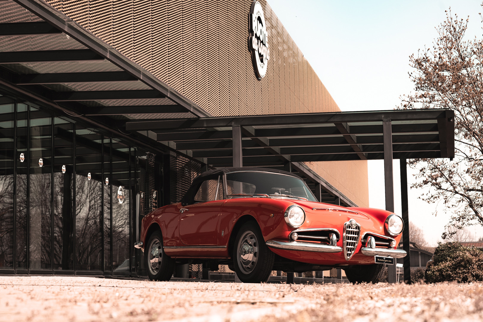1963 Alfa Romeo Giulia Spider 23