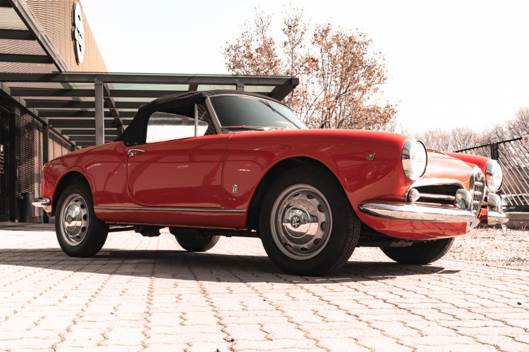 1963 Alfa Romeo Giulia Spider 5
