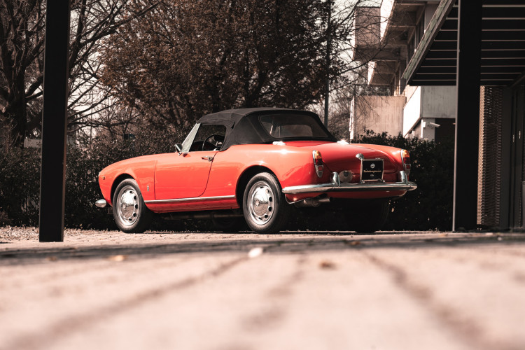 1963 Alfa Romeo Giulia Spider 6